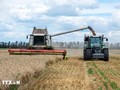 Eropa Melonggarkan Ketentuan-Ketentuan tentang Lingkungan di Bidang Pertanian
