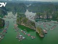 Teluk Ha Long - Kepulauan Cat Ba: Warisan Alam Dunia Antar Provinsi dan Kota yang Pertama di Vietnam