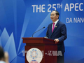 Da Nang declaration: “Creating new dynamism, fostering a shared future”