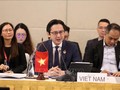 Việt Nam dự Hội nghị SOM ASEAN+3, Cấp cao Đông Á, Diễn đàn Khu vực ASEAN