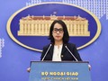 Việt Nam quan ngại sâu sắc trước thông tin về vụ việc tại khu vực Bãi Cỏ Mây