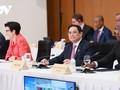 Vietnam champions multilateralism, self-reliance, cooperation in sustainable development