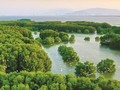 Экологическая зона Кончим – зеленая жемчужина Биньдинь