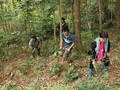 Borrador de Ley de Tierras (enmendada) garantiza beneficios a las minorías étnicas