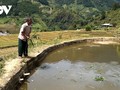 La prosperidad que trae la gran unidad a los pueblos montañosos de Yen Bai