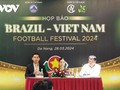 Estrellas brasileñas participarán en Festival de Fútbol Brasil-Vietnam en Da Nang