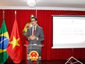 Vicecanciller brasileño: Vietnam es un importante socio de Brasil en Sudeste de Asia