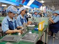 Señales alentadoras de la producción y el comercio de Vietnam en el primer semestre
