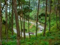 Yên Minh: L'avenir d'un haut-lieu touristique à Hà Giang     