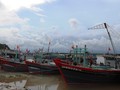 Thanh Hoa : Les gardes- frontières en première ligne de la lutte contre la pêche illégale