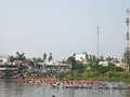 Quang Nam: Course de bateaux sur la rivière de Tam Ky