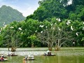 Việt Nam phát triển du lịch sinh thái gắn với bảo tồn đa dạng sinh học