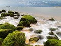 Tỉnh Quảng Trị nghiên cứu bán tín chỉ carbon từ thảm cỏ biển