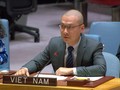 Việt Nam kêu gọi chấm dứt leo thang căng thẳng Trung Đông