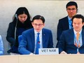 ​Cộng đồng quốc tế đánh giá cao thành tựu của Việt Nam về bảo vệ và thúc đẩy quyền con người