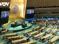 Новые дипломатические успехи Вьетнама