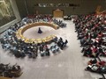 Совбез ООН впервые принял резолюцию, призывающую прекратить огонь в секторе Газа