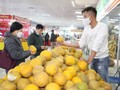 Khai mạc hội chợ Xuân Nhâm Dần năm 2022