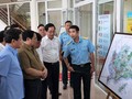 Thủ tướng khảo sát quy hoạch, các dự án lớn của Bà Rịa - Vũng Tàu