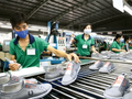 Ngành da giày Việt Nam đặt mục tiêu xuất khẩu 27 tỷ USD năm nay