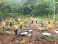Đoàn đại biểu người Việt Nam ở nước ngoài trồng cây hưởng ứng Lễ phát động “Tết trồng cây đời đời nhớ ơn Bác Hồ” 2023