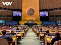 UN General Assembly passes International Day of Play resolution proposed by Vietnam 