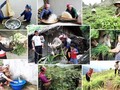 Vietnam makes remarkable progress in poverty reduction: UNDP report