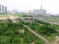 Draft revised Land Law expands land rights of overseas Vietnamese