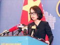 Vietnam opposes any violation of its sovereignty over Hoang Sa, Truong Sa