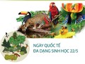 Vietnam sustainably conserves and exploits biodiversity