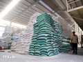 Vietnam becomes largest rice exporter to Singapore