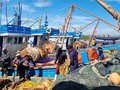 Vietnam to become a country with modern, sustainable fisheries development by 2050