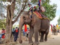 多乐省独特的为大象健康祭祀仪式