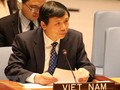 Vietnam promueve el multilateralismo en el Consejo de Seguridad