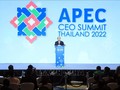 Presidente vietnamita interviene en la Cumbre de Negocios de APEC 2022
