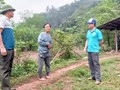 Comment les Dao de Nà Hac protègent-ils leur forêt?