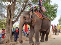Une cérémonie de culte pour la santé des éléphants