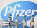 Covid-19: la mise à jour du vaccin de Pfizer s'annonce “très puissante contre Omicron et ses variants“