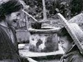 Người mẹ của hai nhà thơ