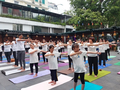 Khoảng 40 tỉnh, thành phố hưởng ứng ngày Quốc tế Yoga năm 2024