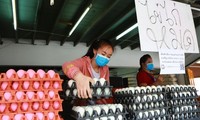 Komunitas badan usaha Thailand berseru supaya melonggarkan langkah-langkah blokade