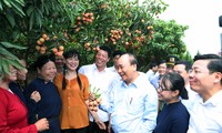 PM Nguyen Xuan Phuc menghadiri acara ekspor buah lici ke berbagai pasar besar