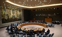 Empat negara terpilih menjadi Anggota Tidak Tetap DK PBB periode 2021-2022