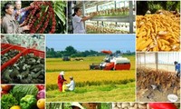 Peluang dan tantangan yang dihadapi pertanian Vietnam dalam EVFTA