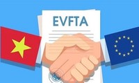 Menunjuk berbagai badan utama untuk melaksanakan Perjanjian EVFTA