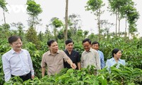 Brand Kopi Vietnam Memperbarui Diri untuk Berintegrasi dan Berkembang