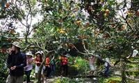 Provinsi Ba-Ria Vung Tau Mengembangkan Potensi Ekowisata