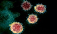 Varian Virus SARS-CoV-2 di Inggris telah Menjangkit Seluruh Dunia