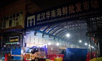 Rombongan Pakar WHO Datang di Pasar Hasil Laut di Kota Wuhan, Tiongkok