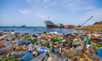 Kerja Sama antara Vietnam dan Negara-Negara Uni Eropa untuk Kurangi Sampah Plastik di Laut Ditingkatkan